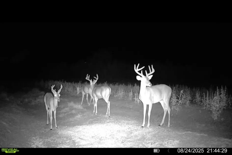 1121 County Road 481 Alice, TX 78332