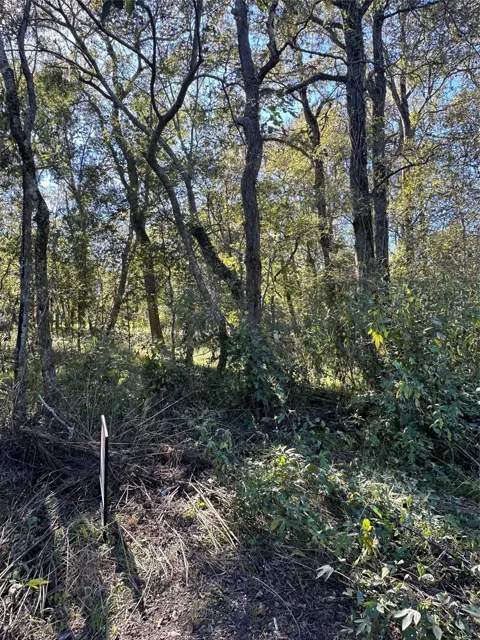Oak Forest Drive