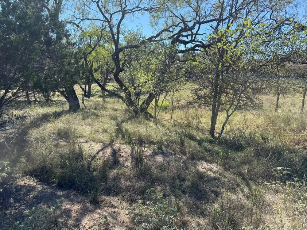 187 Longmont Street Kingsland, TX 78639