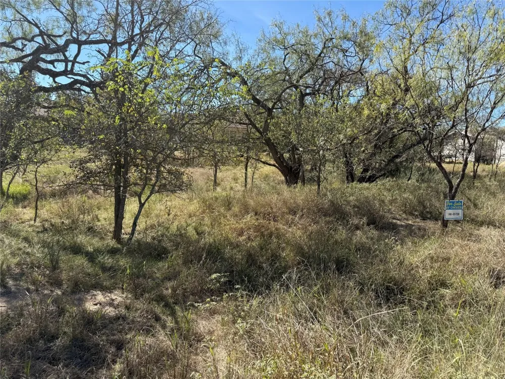 187 Longmont Street Kingsland, TX 78639
