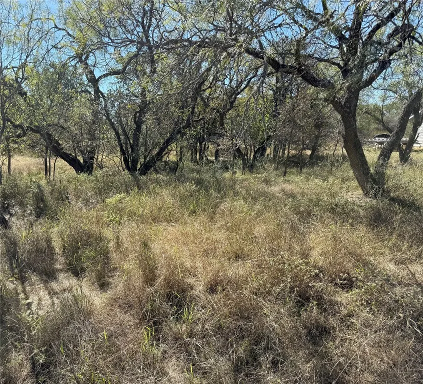 187 Longmont Street Kingsland, TX 78639