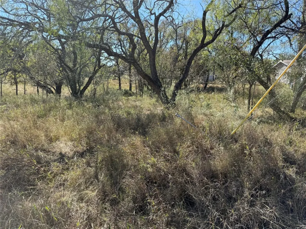 187 Longmont Street Kingsland, TX 78639
