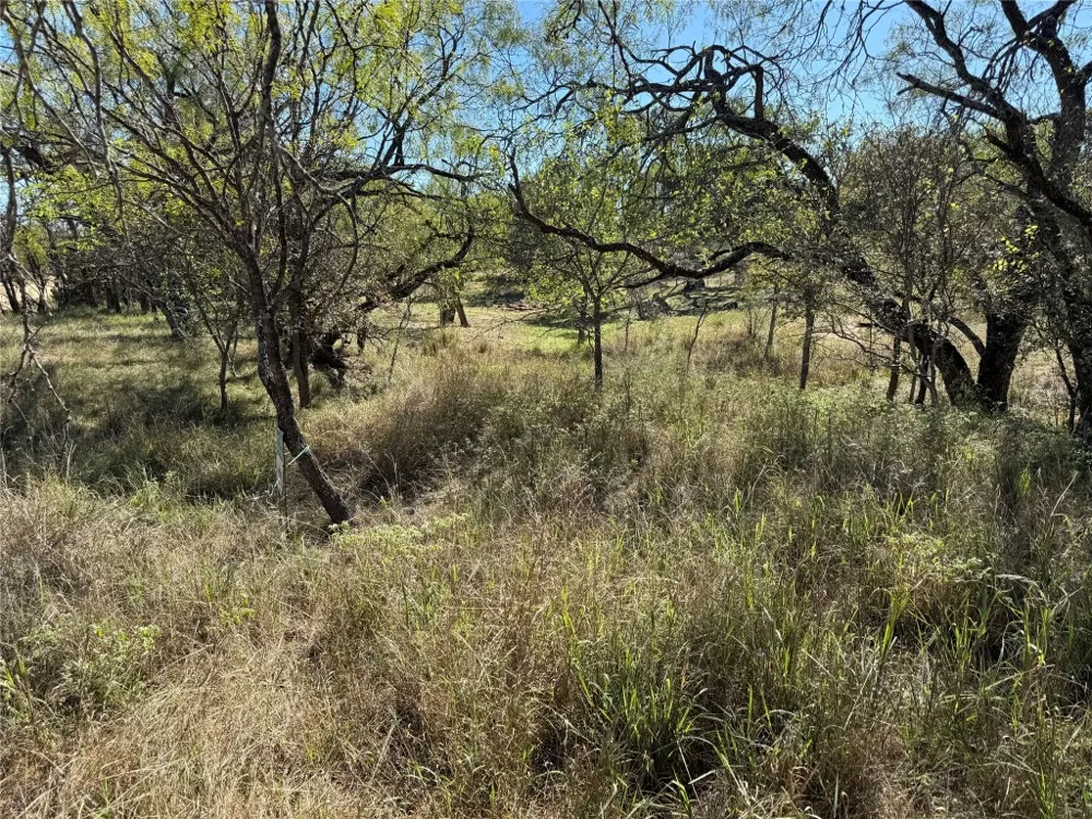 187 Longmont Street Kingsland, TX 78639