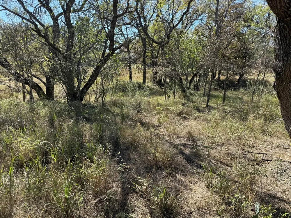 187 Longmont Street Kingsland, TX 78639