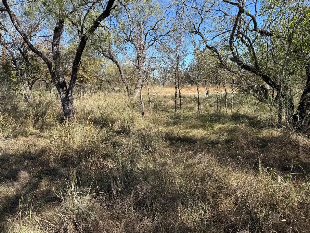 187 Longmont Street Kingsland, TX 78639
