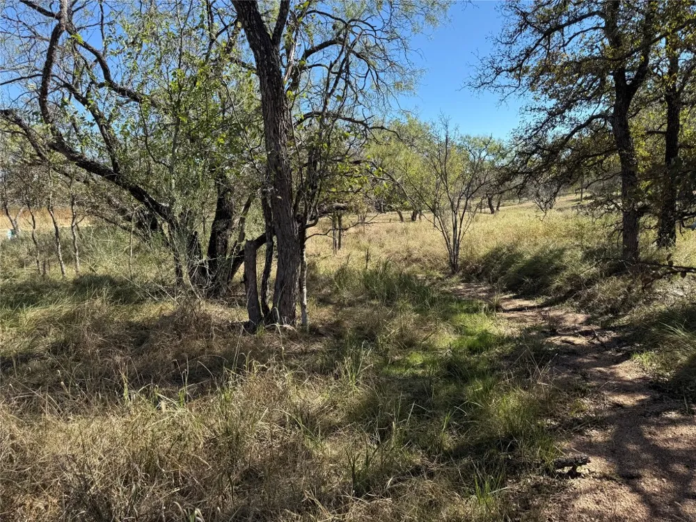 187 Longmont Street Kingsland, TX 78639