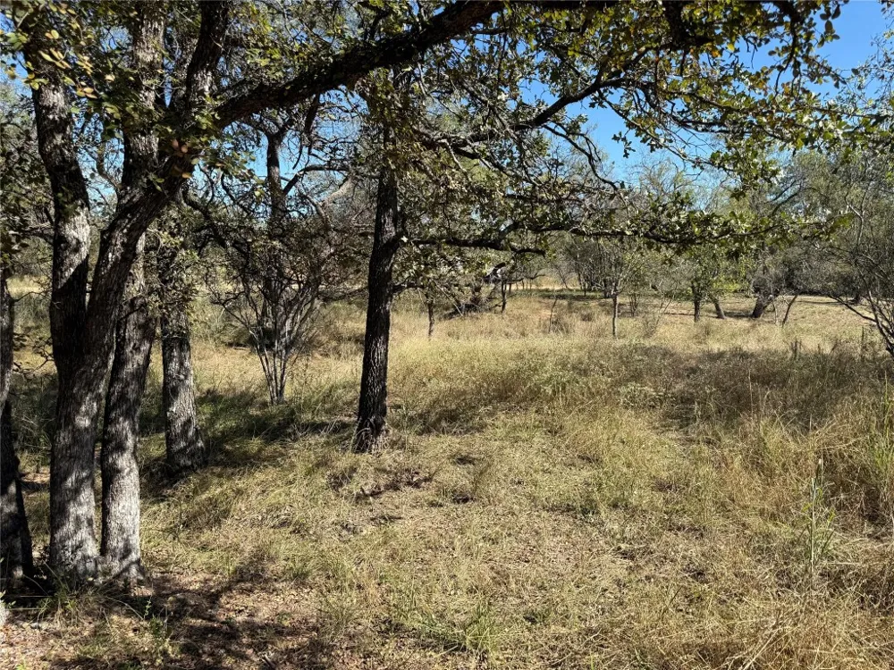 187 Longmont Street Kingsland, TX 78639