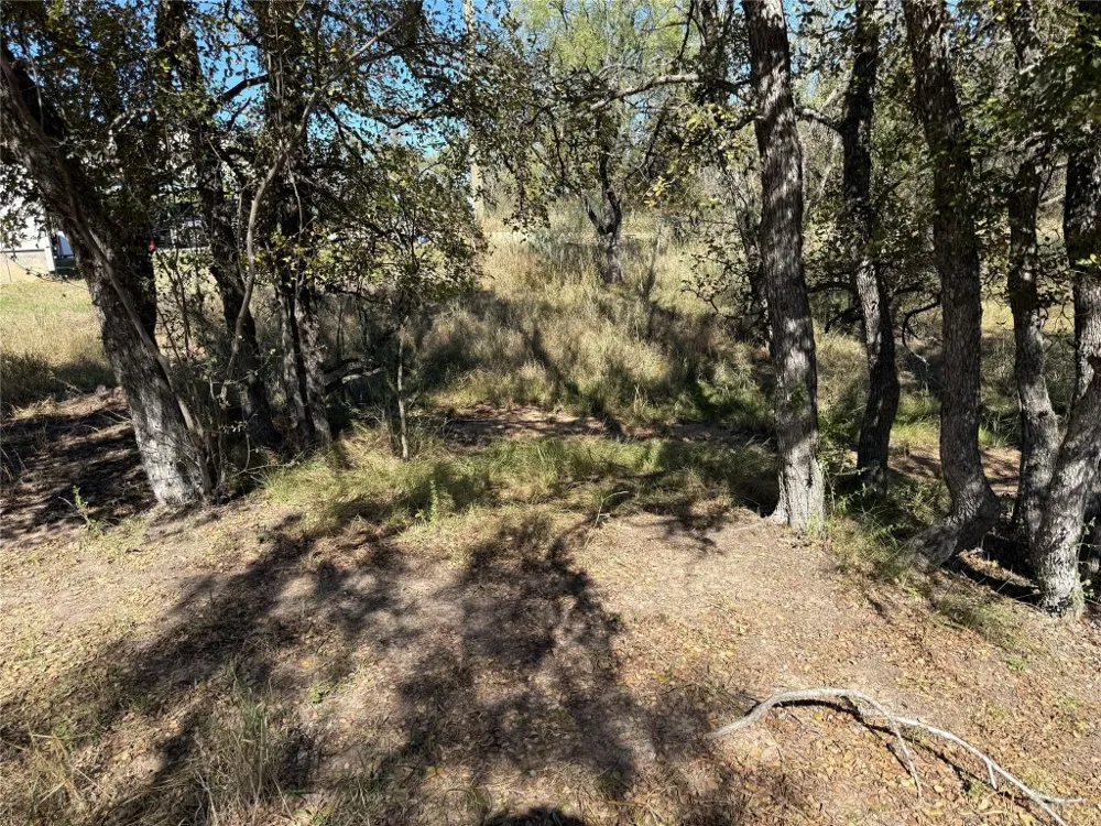 187 Longmont Street Kingsland, TX 78639