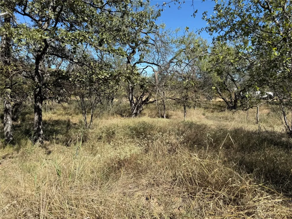 187 Longmont Street Kingsland, TX 78639