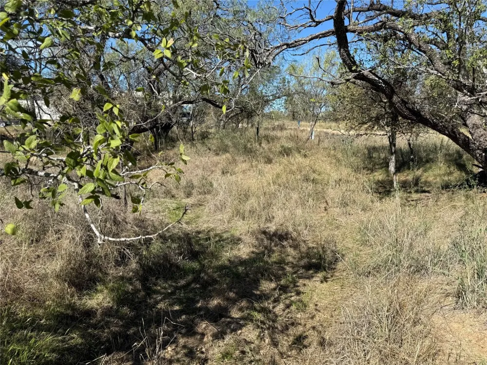 187 Longmont Street Kingsland, TX 78639