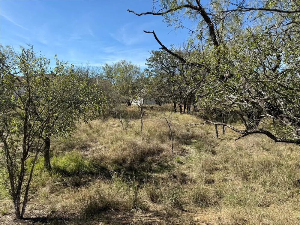 187 Longmont Street Kingsland, TX 78639