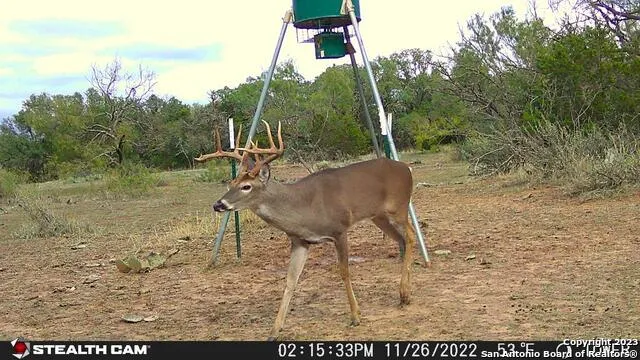 838 FM 573 S Goldthwaite, TX 76864