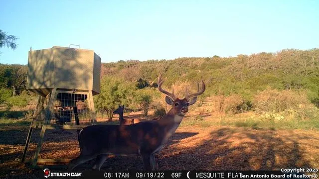 838 FM 573 S Goldthwaite, TX 76864