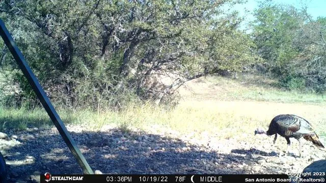 838 FM 573 S Goldthwaite, TX 76864