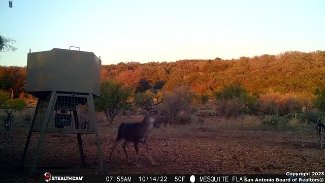 838 FM 573 S Goldthwaite, TX 76864