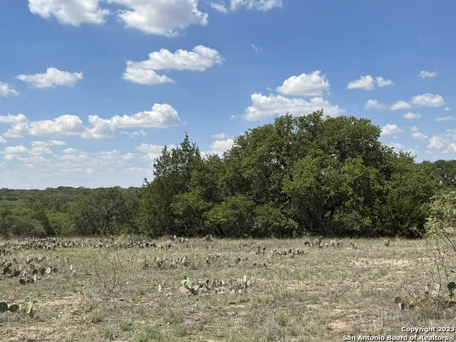 838 FM 573 S Goldthwaite, TX 76864