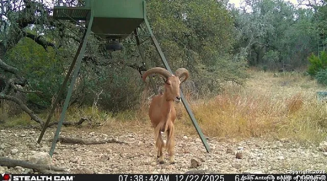838 FM 573 S Goldthwaite, TX 76864