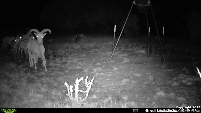 838 FM 573 S Goldthwaite, TX 76864