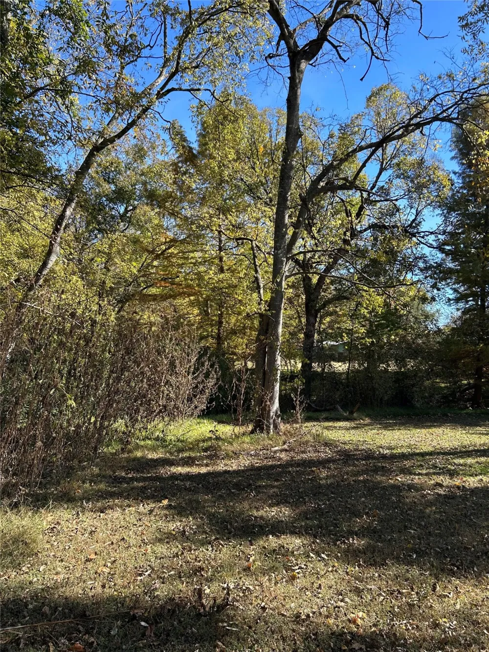 Keith Street Mount Vernon, TX 75457