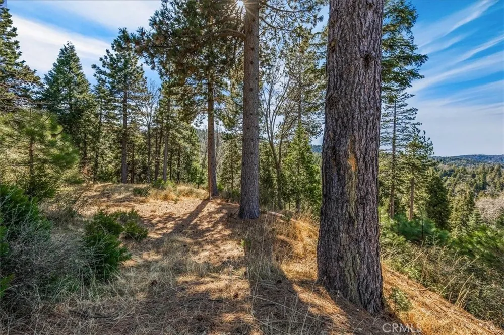 109 MILL POND Lake Arrowhead, CA 92352