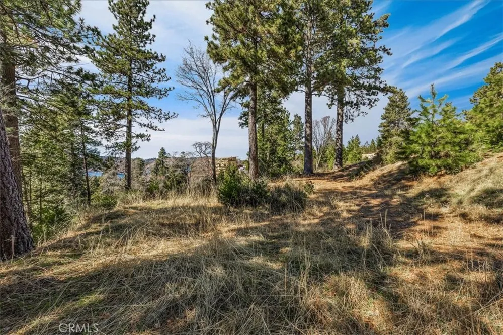 109 MILL POND Lake Arrowhead, CA 92352