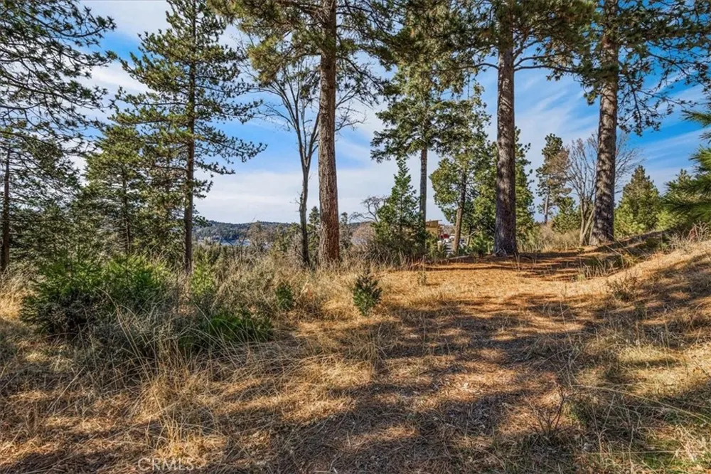 109 MILL POND Lake Arrowhead, CA 92352
