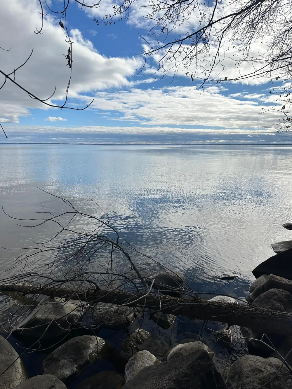 TBD - Lot 6 Ottertail Point Drive NW Cass Lake, MN 56633