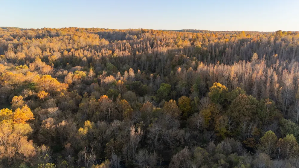 0 Short Creek Rd Linden, TN 37096