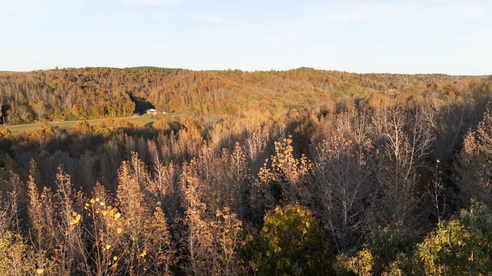 0 Short Creek Rd Linden, TN 37096