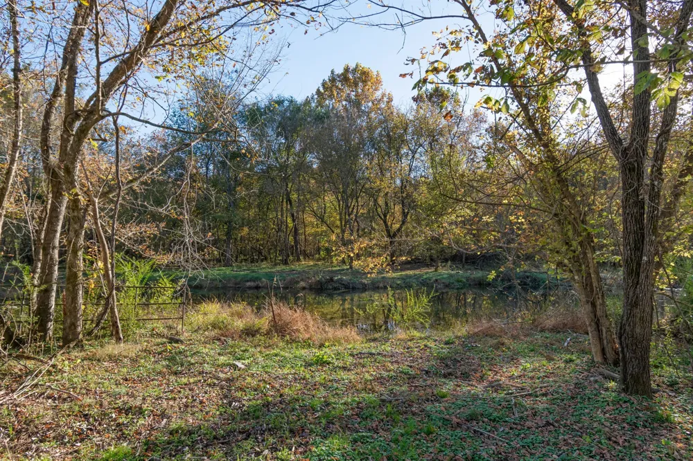 0 Short Creek Rd Linden, TN 37096