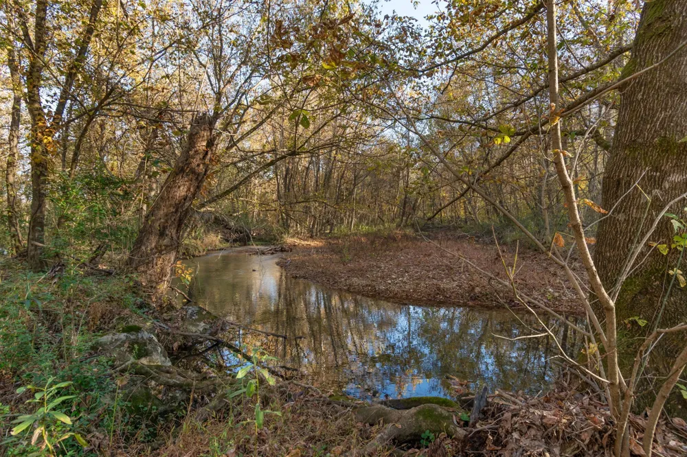 0 Short Creek Rd Linden, TN 37096
