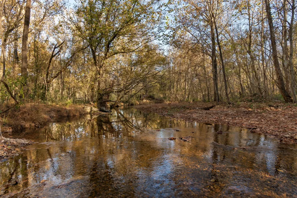 0 Short Creek Rd Linden, TN 37096