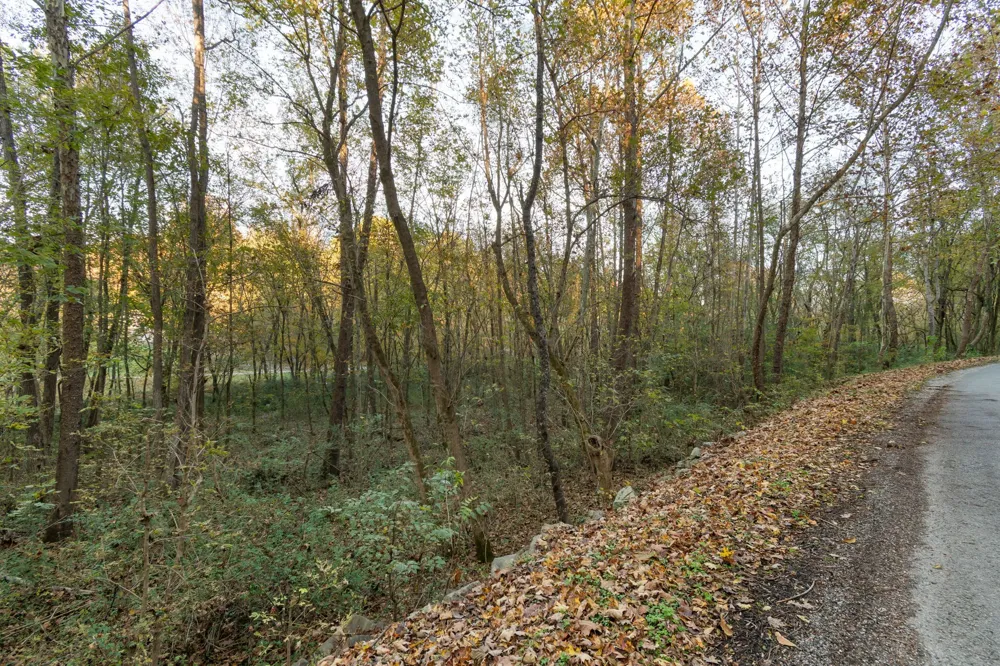 0 Short Creek Rd Linden, TN 37096