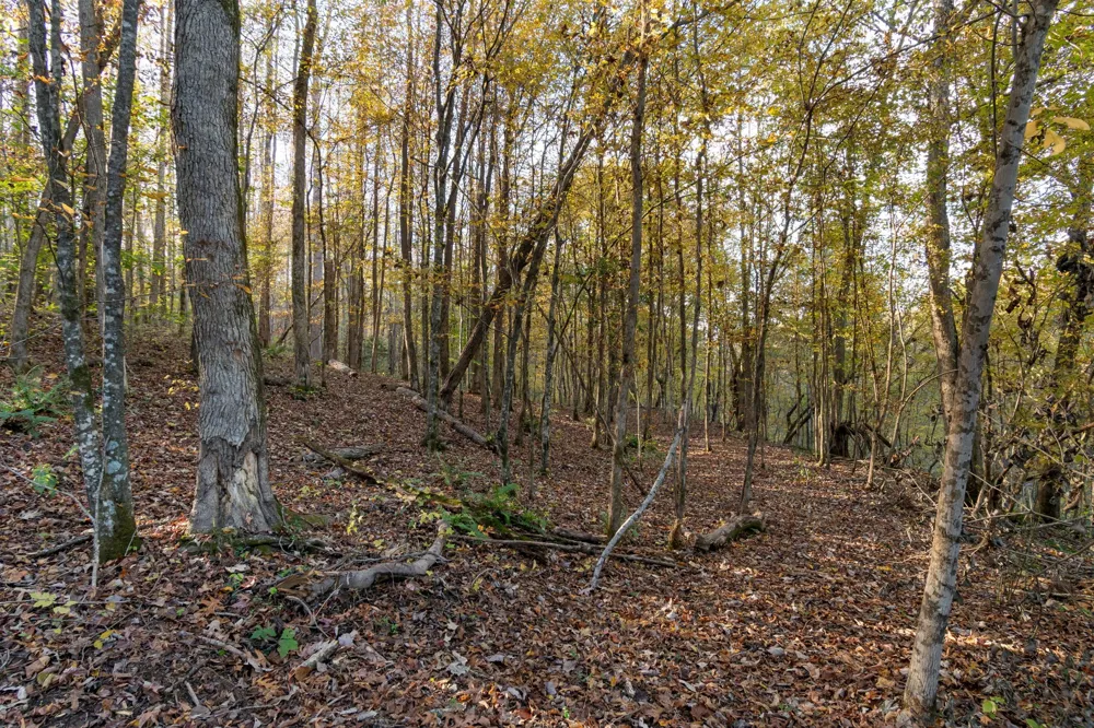 0 Short Creek Rd Linden, TN 37096