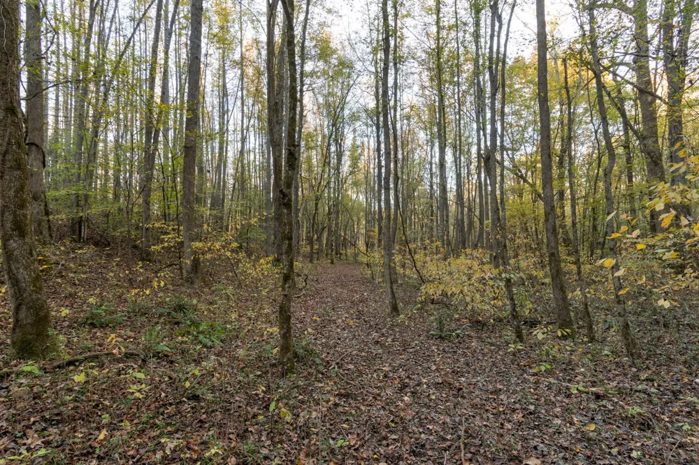 0 Short Creek Rd Linden, TN 37096