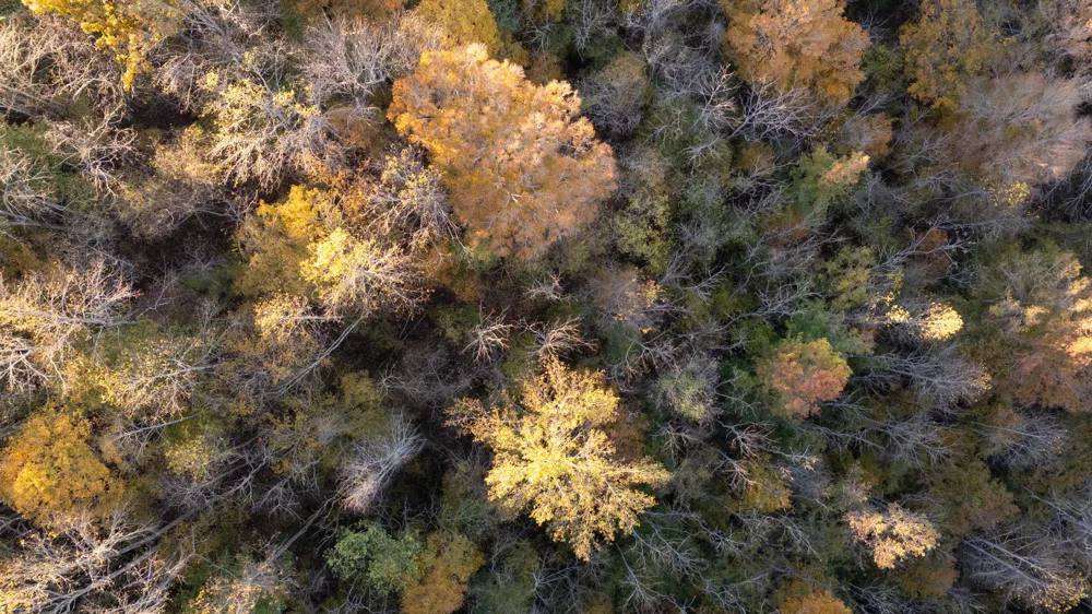 0 Short Creek Rd Linden, TN 37096