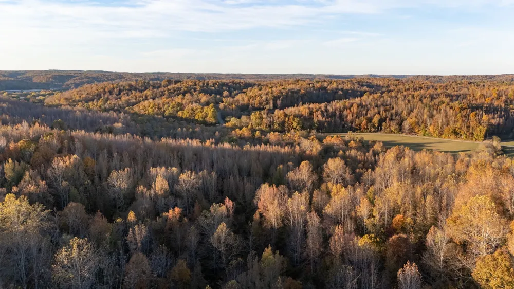 0 Short Creek Rd Linden, TN 37096