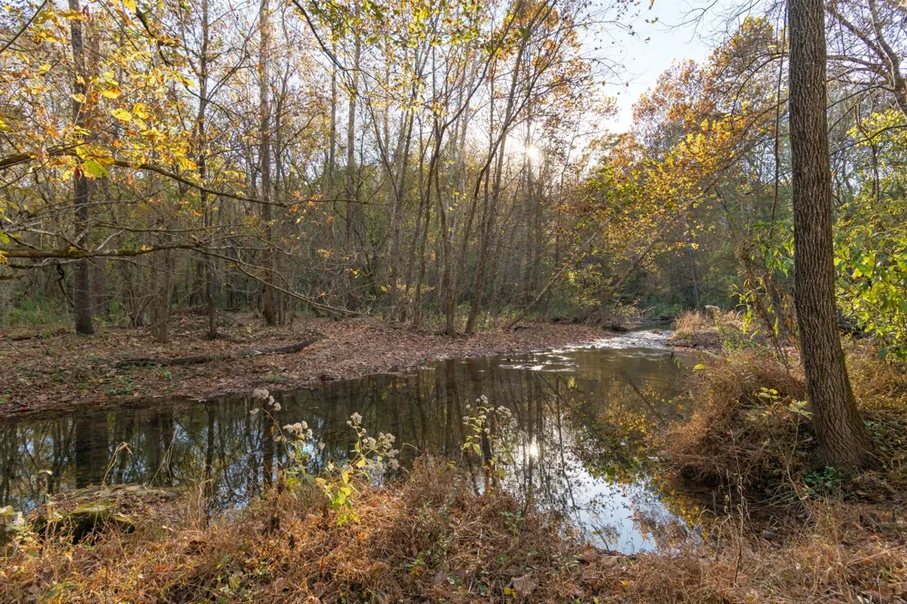 0 Short Creek Rd Linden, TN 37096