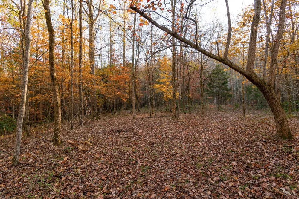 0 Short Creek Rd Linden, TN 37096