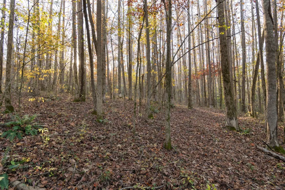 0 Short Creek Rd Linden, TN 37096
