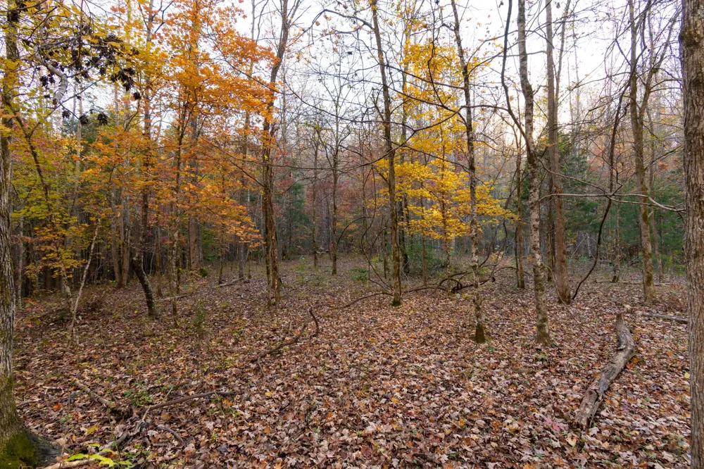 0 Short Creek Rd Linden, TN 37096