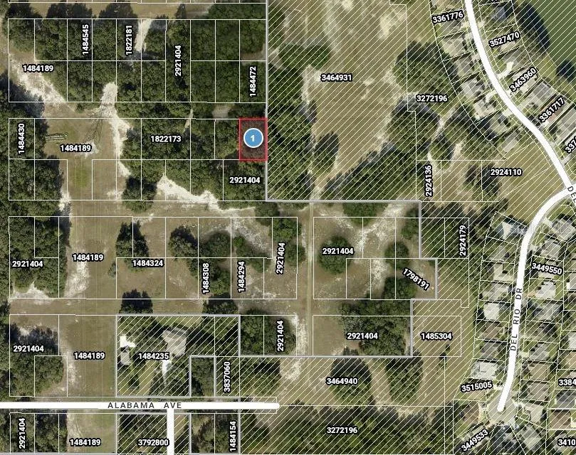 DEL MAR DRIVE Lady Lake, FL 32159
