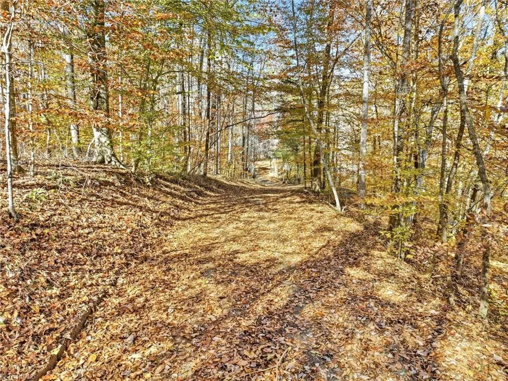 960 Riverview Road Spencer, VA 24165