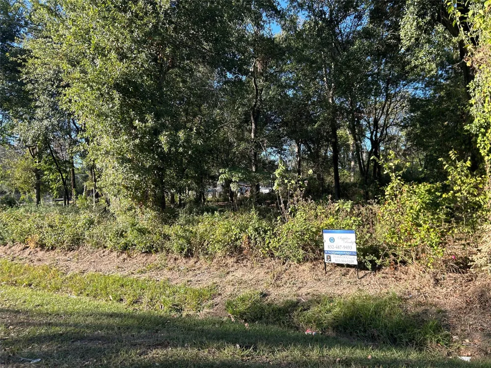 Wells Spring, TX 77373