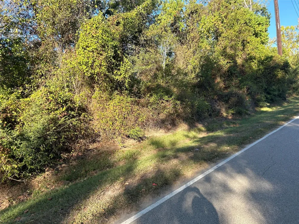 Wells Spring, TX 77373