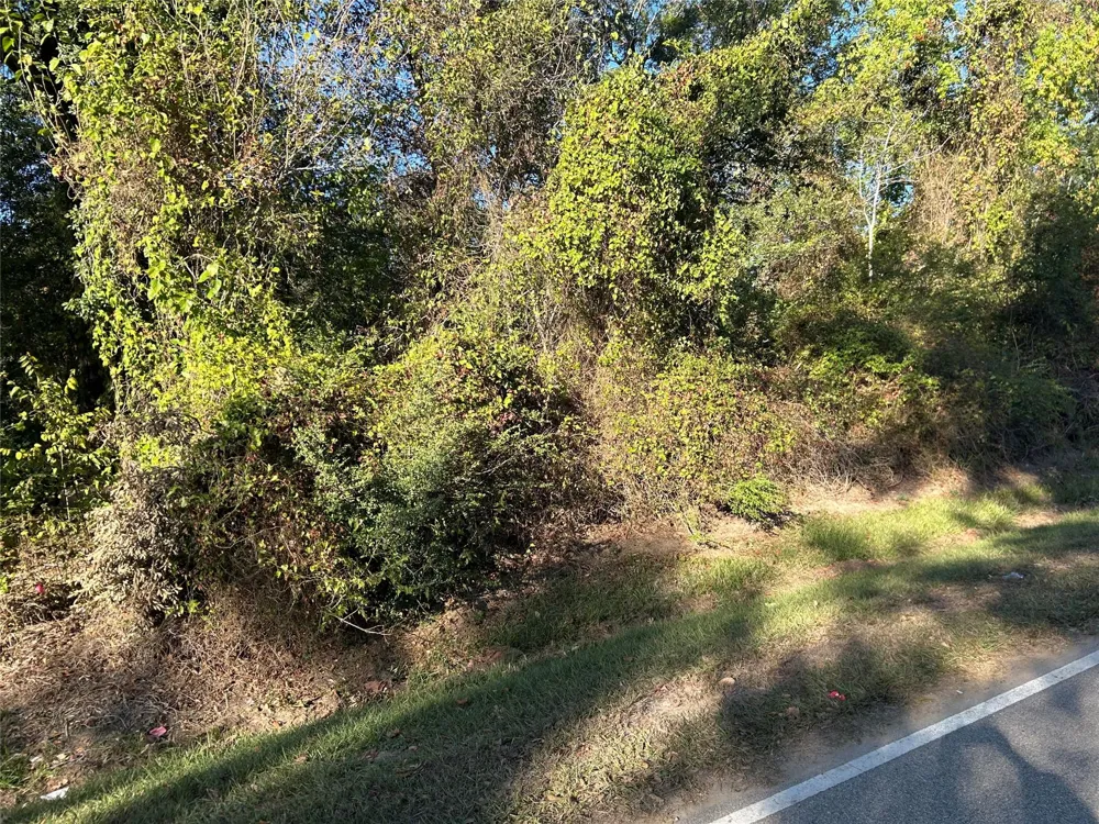 Wells Spring, TX 77373