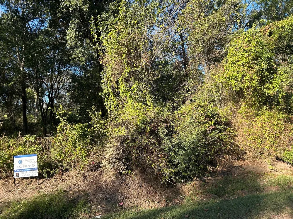 Wells Spring, TX 77373