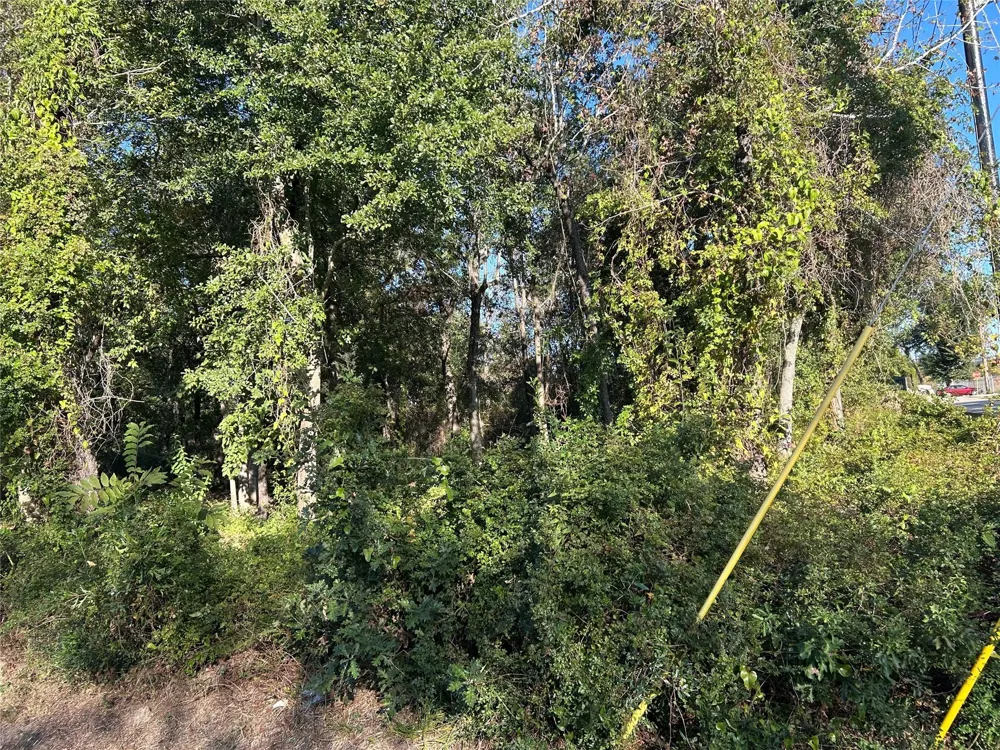 Wells Spring, TX 77373