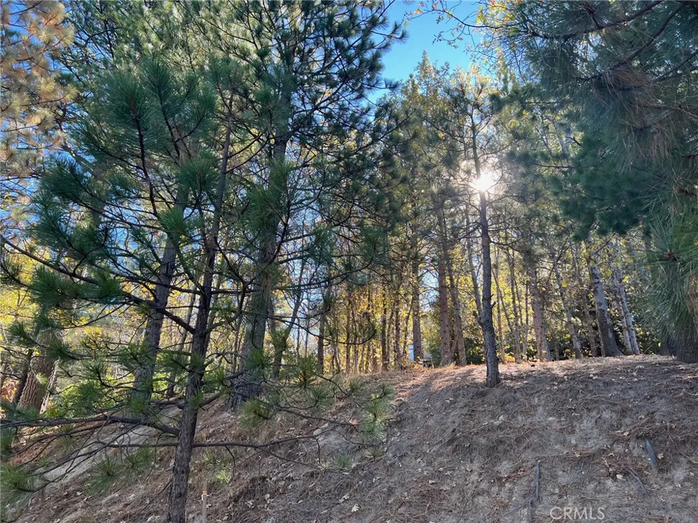 82 Pixie Running Springs, CA 92382