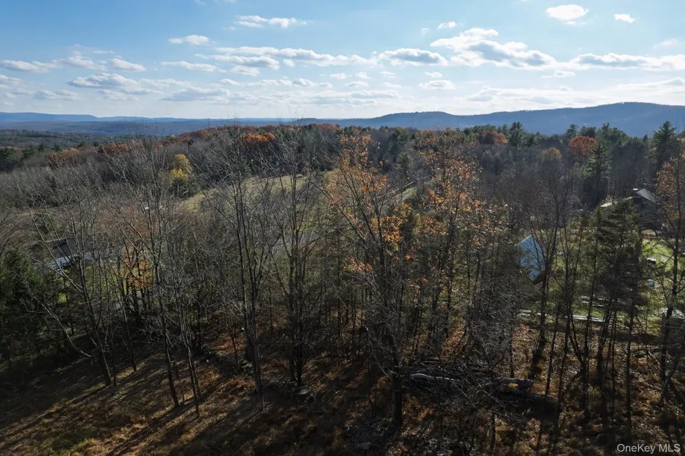 15 Deans Road Grahamsville, NY 12458